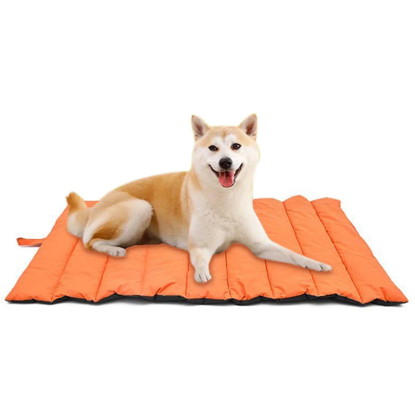 Outdoor Foldable Travel Pet Mat