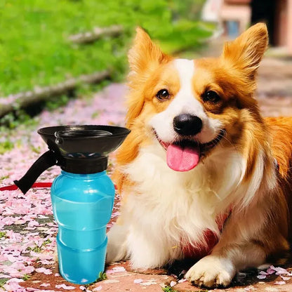 Portable Dog Water Bottle – 500 ml